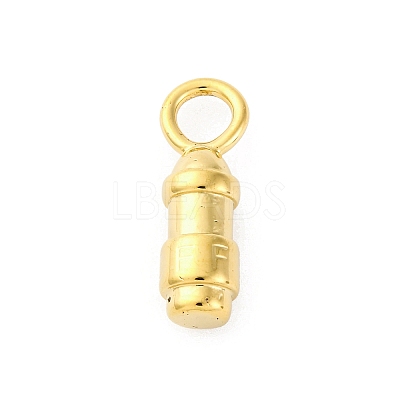 304 Stainless Steel Pendants STAS-U049-04A-02G-1