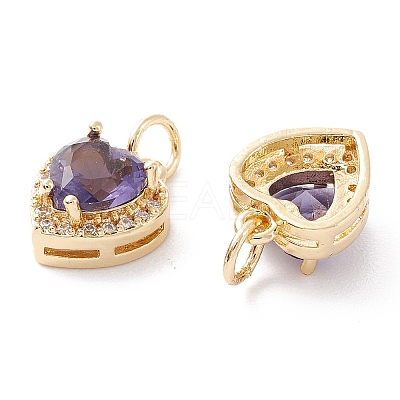 Brass Micro Pave Cubic Zirconia Charms ZIRC-A019-14G-D-1