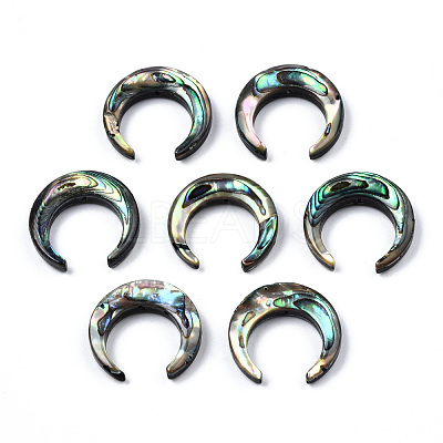 Natural Abalone Shell/Paua Shell Beads SSHEL-N034-122A-01-1