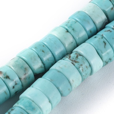 Natural Howlite Beads Strands X-TURQ-L030-04B-01-1