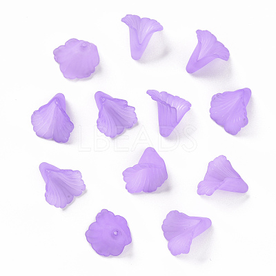 Transparent Acrylic Bead Caps PL551-C08-1