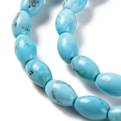 Natural Howlite Beads Strands G-H025-02B-1