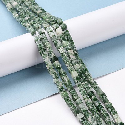 Natural Green Spot Jasper Beads Strands G-F631-K18-1