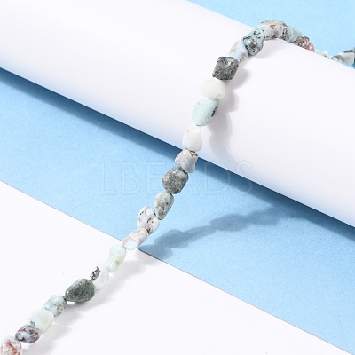 Natural Larimar Beads Strands G-G018-19-1
