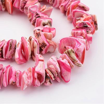 Natural Shell Bead Strands BSHE-P010-M-1