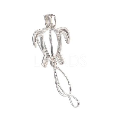 Hollow Brass Bead Cage Pendants KK-K124-09P-NR-1