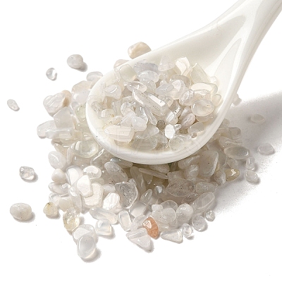 Natural White Moonstone Beads G-O103-32-1