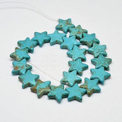 Dyed Synthetic Turquoise Bead Strands G-M144-05-D-1