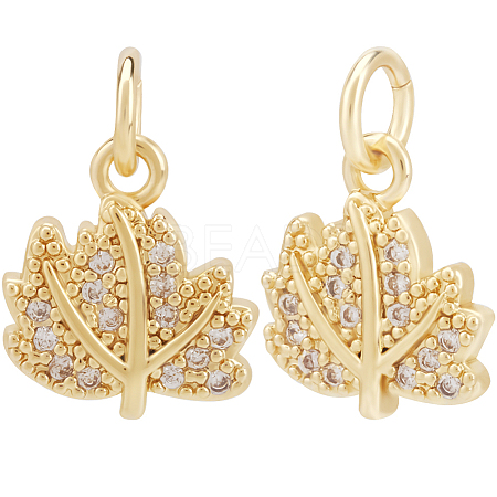 12Pcs Brass Micro Pave Cubic Zirconia Charms ZIRC-BBC0002-78-1