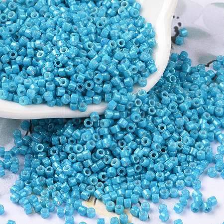 Cylinder Seed Beads SEED-H001-H10-1