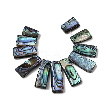 Natural Paua Shell Beads Strands BSHE-S305-01B-1