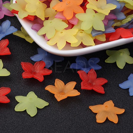 Mixed Color Dyed Transparent Frosted Acrylic Flower Beads X-PL594-1