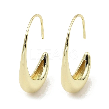 Brass Dangle Earrings EJEW-Q787-01G-1