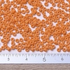 MIYUKI Round Rocailles Beads X-SEED-G007-RR0405F-4
