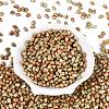 Picasso Glass Seed Beads SEED-N012-10D-2