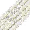Natural Trochid Shell/Trochus Shell Beads Strands SHEL-F003-09-1