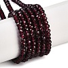 Natural Garnet Beads Strands G-F778-A05-01-1