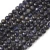 Natural Iolite Beads Strands G-J400-E05-02B-1