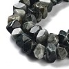 Natural Eagle Eye Stone Beads Strands G-D091-A03-4