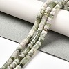 Natural Peace Jade Beads Strands G-R437-06-3