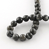 Natural Larvikite Round Beads Strands LS-G-R342-10mm-09-3