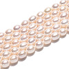 Natural Cultured Freshwater Pearl Beads Strands PEAR-N024-07-4AB-2