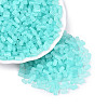 FGB Frosted Transparent Glass Seed Beads SEED-N013-05A-10-1