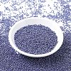 MIYUKI Round Rocailles Beads X-SEED-G007-RR0434-2