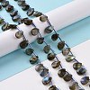 Natural Labradorite Beads Strands G-I246-09-A-4