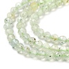 Natural Prehnite Beads Strands G-G161-A13-03-4
