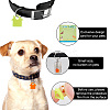 40Pcs 5 Colors Transparent Blank Acrylic Pet Dog ID Tag PALLOY-AB00047-5