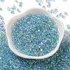 Glass Seed Beads SEED-L011-05B-11-2