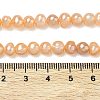 Natural Cultured Freshwater Pearl Beads Strands PEAR-L034-11C-5