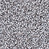 MIYUKI Delica Beads X-SEED-J020-DB0630-4