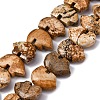 Natural Picture Jasper Beads Strands G-F783-G03-01-1