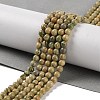 Natural Verdite Stone Beads Strands G-P530-B07-01-2