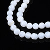 Natural Freshwater Shell Beads Strands SHEL-N003-24-A01-3