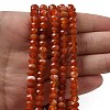 Natural Banded Agate Beads Strands G-D344-A34-02-2
