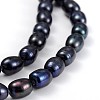 Grade A Natural Cultured Freshwater Pearl Strands X-A23WP011-2