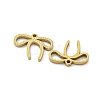 Ion Plating(IP) 316L Surgical Stainless Steel Charms STAS-K280-13G-2