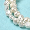 Natural Cultured Freshwater Pearl Beads Strands PEAR-E017-24-4