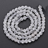 Crackle Glass Beads Strands GLAA-S192-D-006A-2