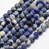 Natural Sodalite Beads Strands G-J364-01-4mm-1