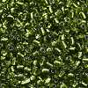 6/0 Round Silver Lined Round Hole Glass Seed Beads X-SEED-A005-4mm-24-3
