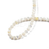 Natural White Shell Bead Strands SSHEL-N003-144C-01-4