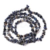 Natural Sodalite Chips Beads Strands X-F024-8