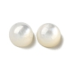 Natural White Shell Cabochons SSHEL-M022-01A-1