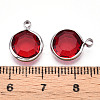K9 Glass Charms X1-GLAA-T023-37B-03-3