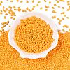 Baking Paint Glass Seed Beads SEED-T006-03N-1