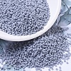 MIYUKI Round Rocailles Beads X-SEED-G007-RR0498-1